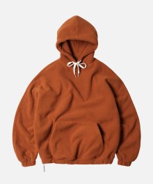 GRIZZLY PULLOVER HOODY _ BRICK