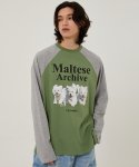 와이케이(WAIKEI) 말티즈 아카이브 래글런 롱슬리브 티셔츠 카키