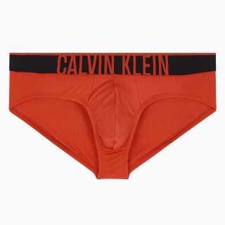 캘빈클라인 언더웨어(CALVIN KLEIN UNDERWEAR) 남성 인텐스 파워 마이크로 쿨링 힙브리프_NB3835XBZ 상품 이미지