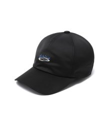 Black Flame Logo Cap