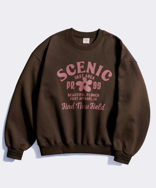 Свитшот Scenic Brown JUMT4611