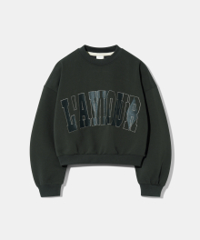 [CROP] LAMOUR Big Embroidery Stitch Sweatshirt T87  Charcoal