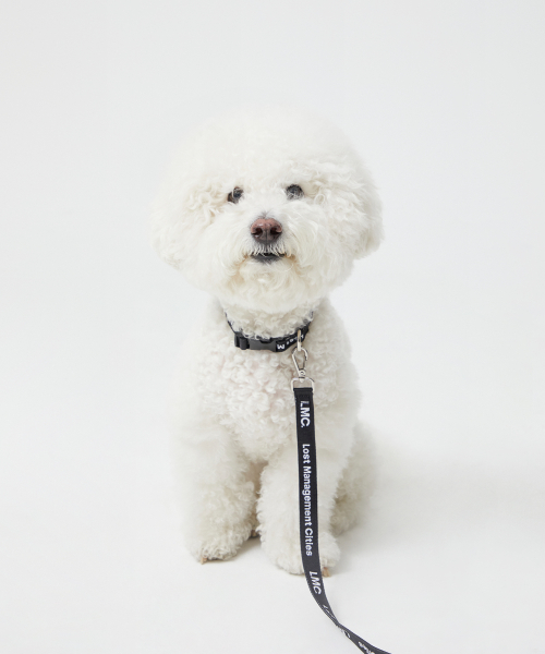 엘엠씨 LEASH & COLLAR black