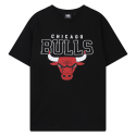엔비에이(NBA) CHI 에센셜 팀 로고 빅 아트웍 티셔츠(N242TS911P) 블랙