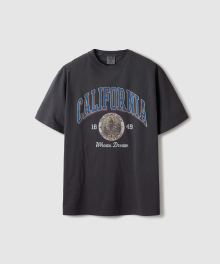 California Dyed Overfit T-Shirt / WHRPE3721U