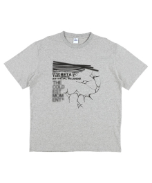 TCM melanine T (grey)