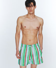 Sunburst Stripe Swim Trunks - Clover Green