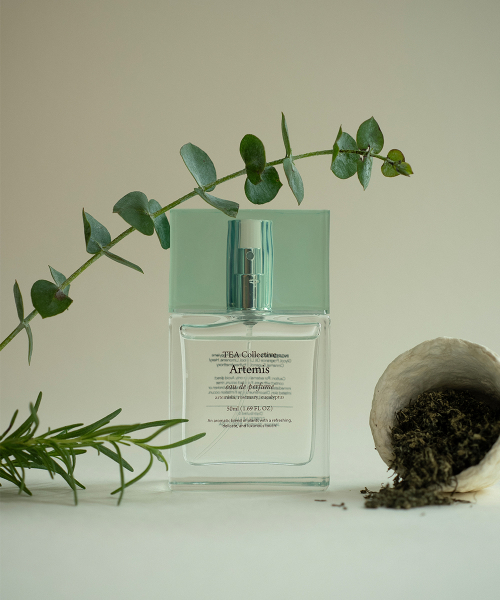 티컬렉티브(TEACOLLECTIVE) 티컬렉티브 아르테미스 오드퍼퓸 50ml - 후기 | 무신사