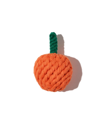 핍스펫마트 오렌지 장난감