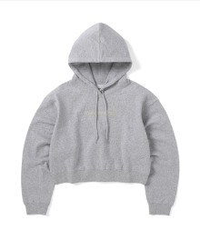 T-Logo W Hoodie Heather Grey