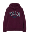 Two-Tone Arch Hoodie_Wine