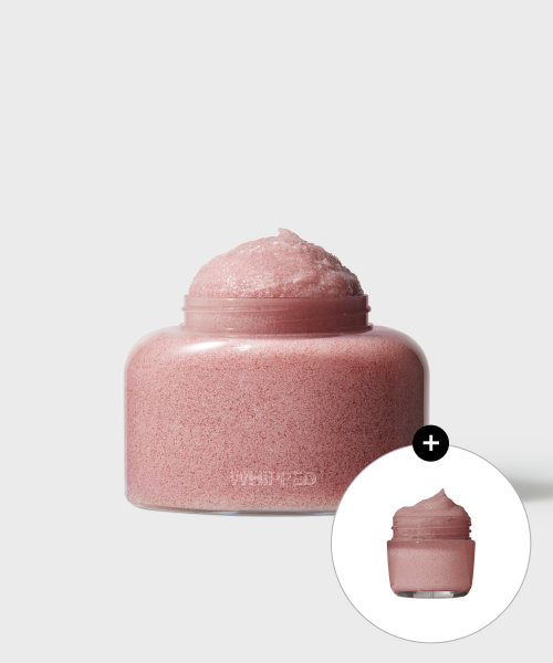 휩드 비건 팩스크럽 210g + 여행용 팩스크럽 25g 증정