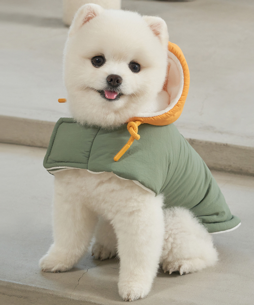 강아지 겨울옷 망토패딩 올리브그레이
