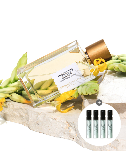 골드필드 앤 뱅크스() 인지니어스 진저 EDP 100ml 상품 이미지