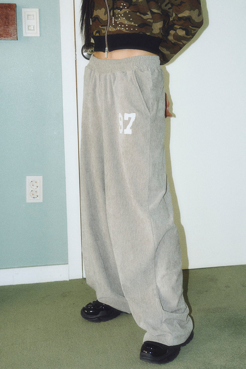 PRDA VELOUR WIDE PANTS GRAY