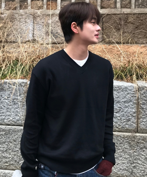 Pure Cotton V-Neck Knit [Black]