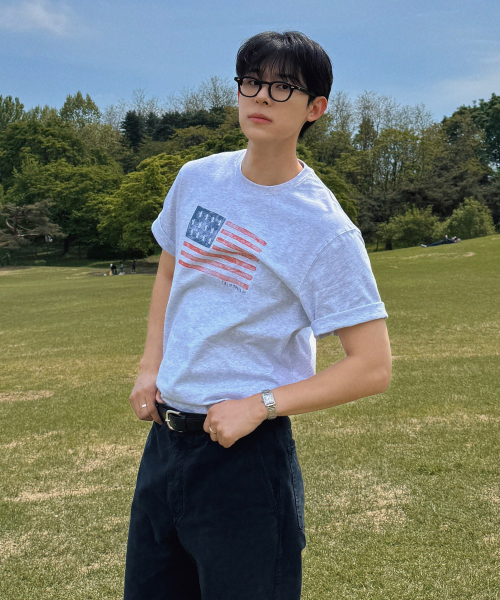 American Flag Printing T-shirt / WHRPG3793U