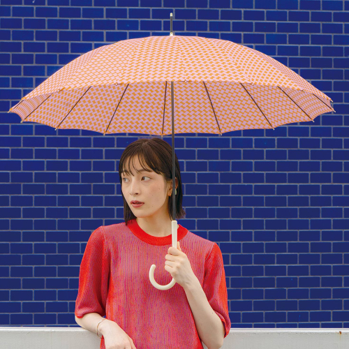 [더블유피씨] 오리엔탈 보태니컬 장우산 JTC-001 m202505235067162aa 