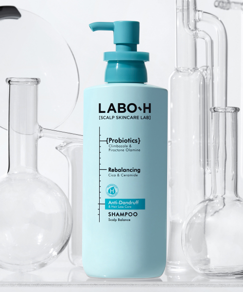 댄드러프클리닉 비듬/각질/가려움 두피케어 샴푸 400ml