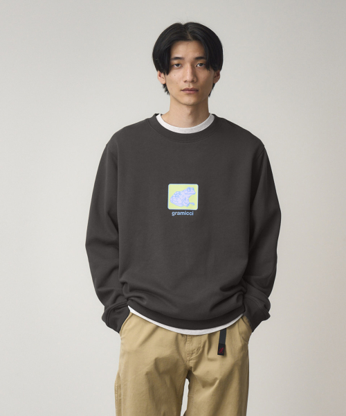 Свитшот TOAD Deep Brown