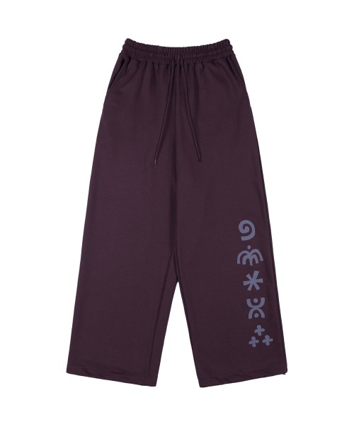 Спортивные штаны Glyph (Purple) K25ZC179