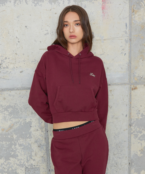 WM BACK LETTERING CROPPED худи бордовый
