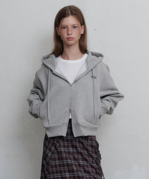 Daydream logo zip-up худи (Grey)
