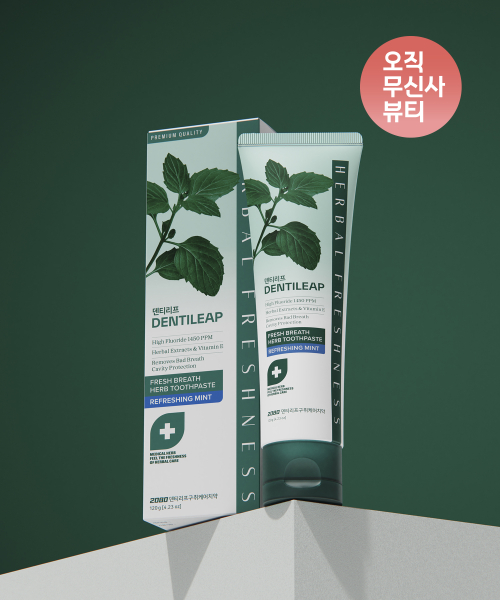 이공팔공 2080 덴티리프 구취 120g x 4입