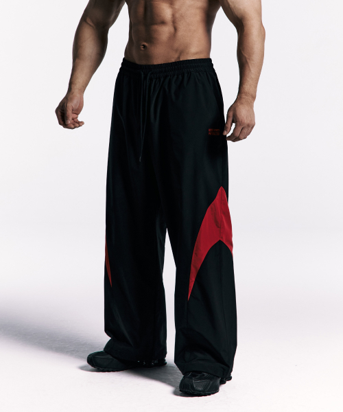 [HDEX X PHYSICAL: ASIA] Color Block Pants Black