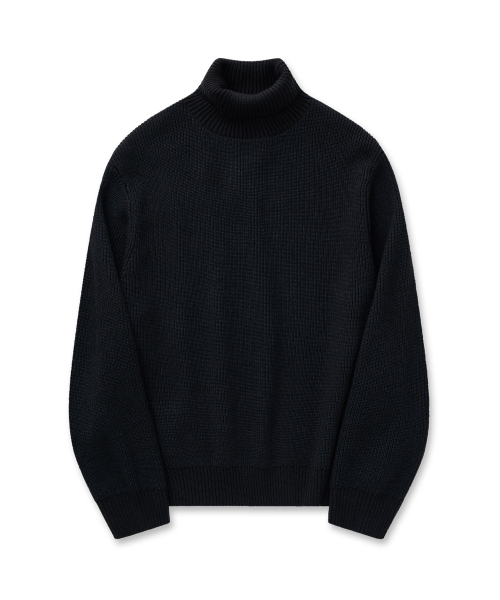 Classic Roll-Neck Knit 31(Navy)