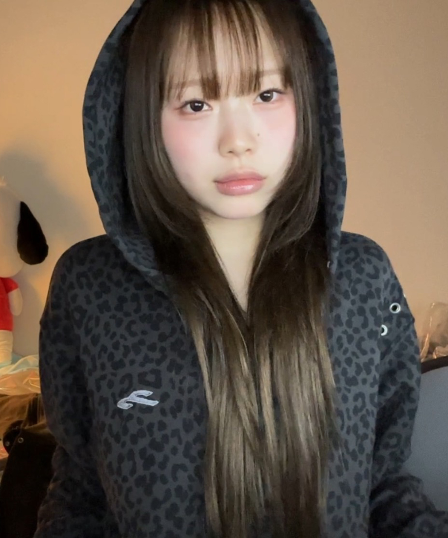 Jooyoung X Tansan Hoodie Zip-Up Leopard Charcoal