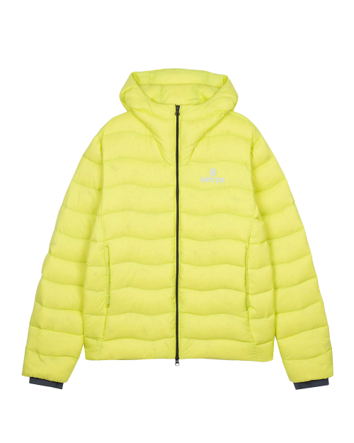 25FW Aether Down Jacket Lizard green