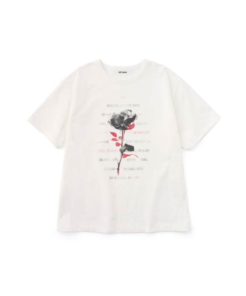 Antt Rose Top (White)