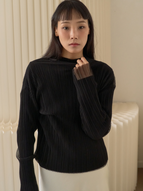 Sheer Pleated Mesh High Neck Top_Black