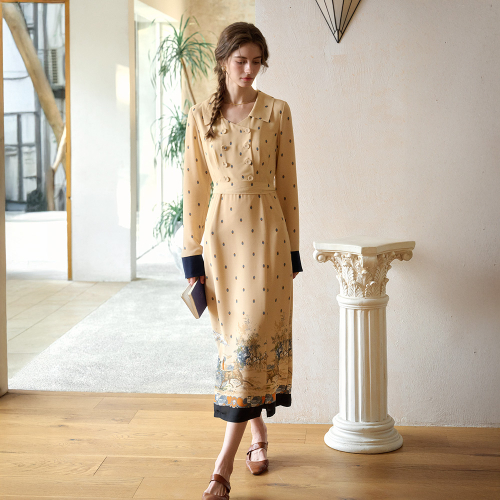 SR_Print french polka dot dress