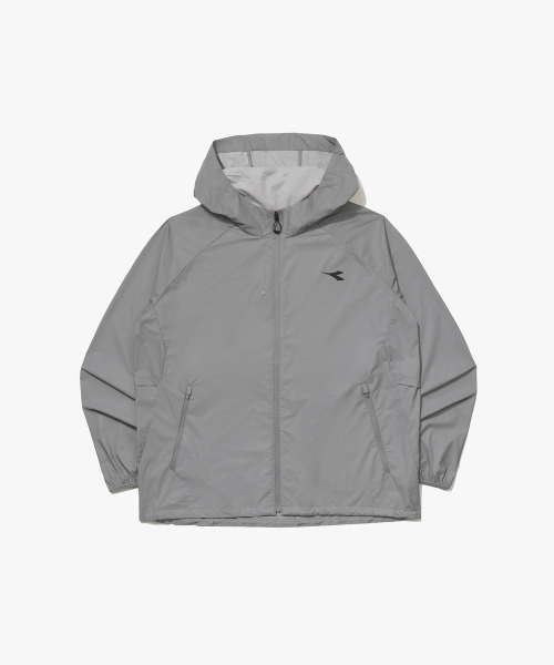DTP SILVER