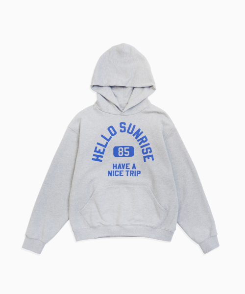 HNT Arch Logo Hoodie_Gray