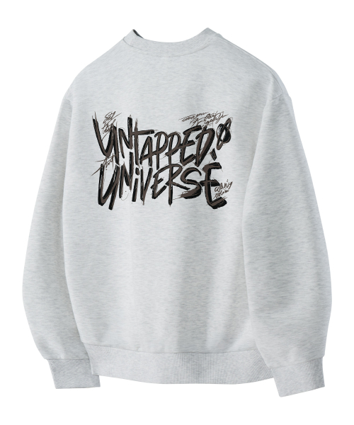 Оверсайз свитшот Universe Wild Lettering