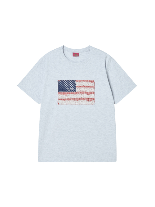 TNSW FLAG TEE HEATHER GREY