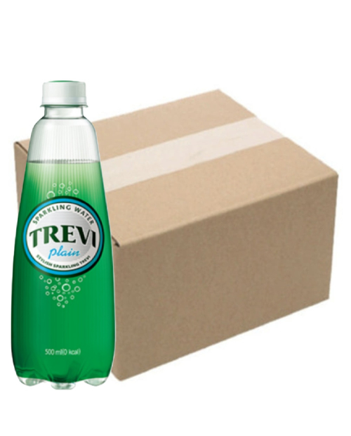 트레비 탄산수 플레인 300ml PET 20입