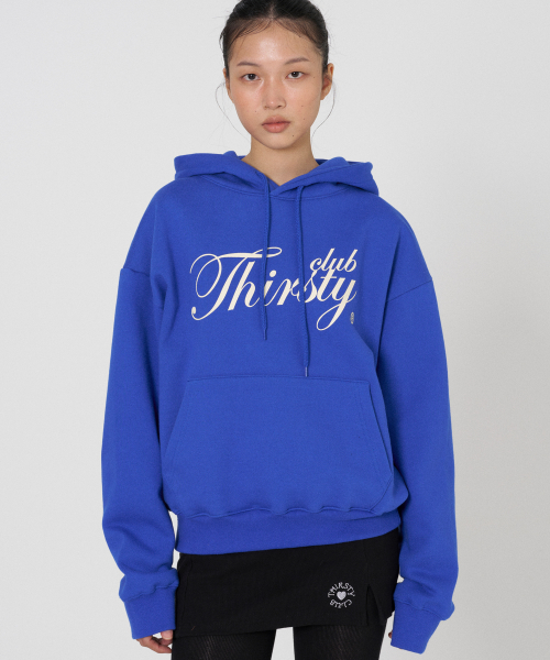 Big logo hoody - Blue (с начесом)