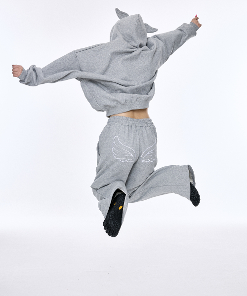 Брюки Wing Grey