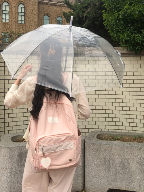 Bon voyage backpack_petal pink