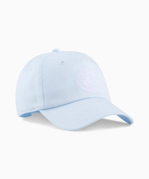 MCFC ESS Cap