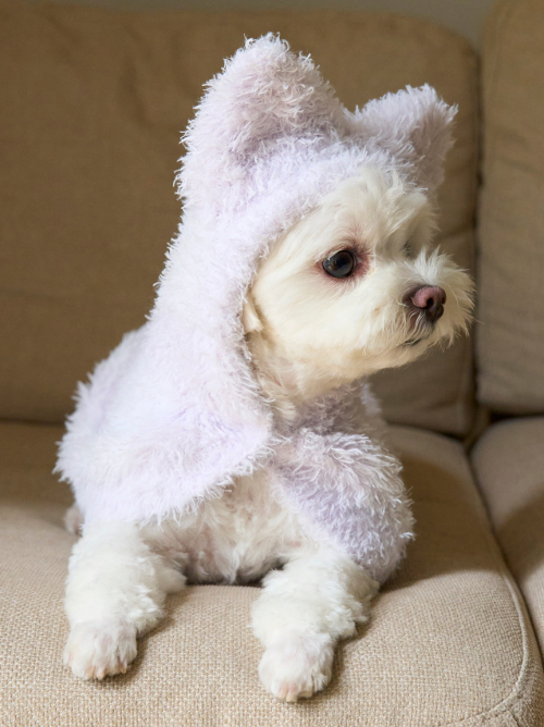 [PIQUE MONSTER] CAT&DOG 케이프 PAGG244578