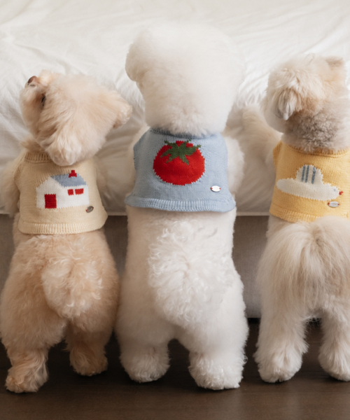 타이니 가든 니트 빕 (3 colors)