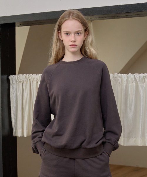 Raglan Sweatshirt_Brown