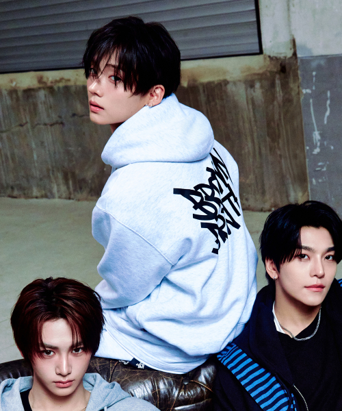 TAG OG HOODIE - ASH