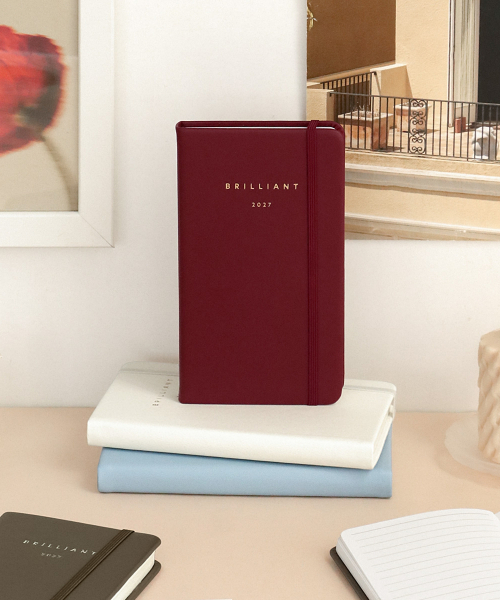 2027 Brilliant Mini Monthly Diary Planner
