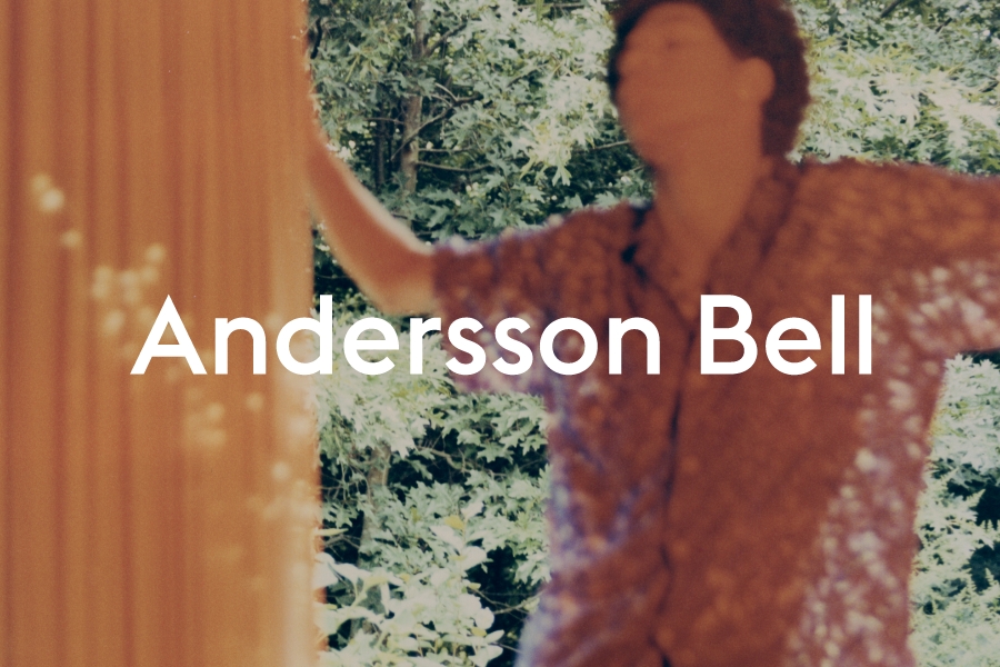 Confusing Trip of  ANDERSSON BELL